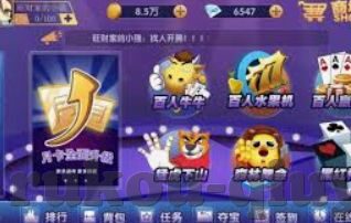 龙珠体育app-龙珠体育APP，重塑体育赛事体验的创新平台